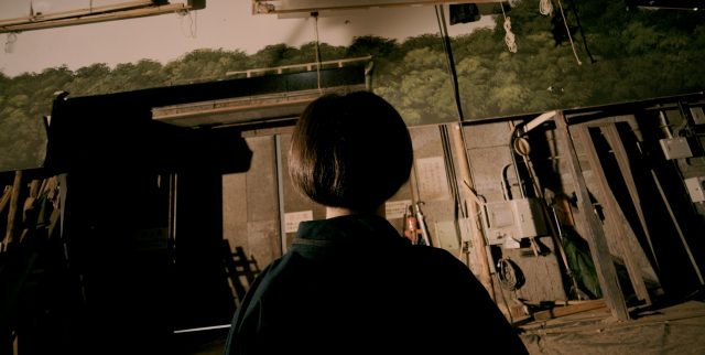 Where the Light Falls